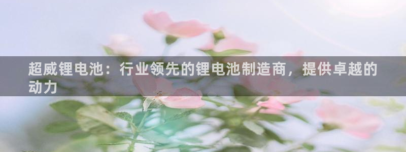 尊龙官网手机版