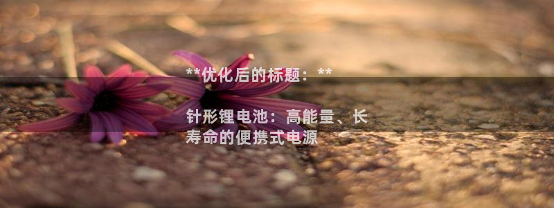 尊龙传奇英文怎么写：**优化后的标题：**

针形锂电池：高能量、长
寿命的便携式电源