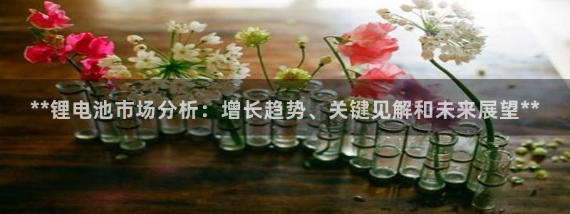 尊龙登录会员登录：**锂电池市场分析：增长趋势、关键见解和未来展望**