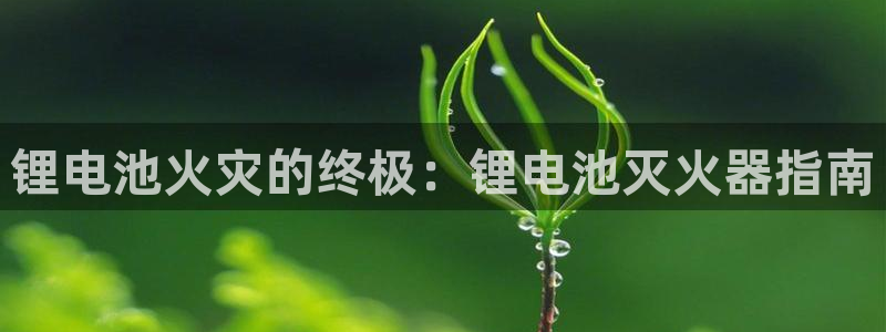 尊龙凯时法拉币