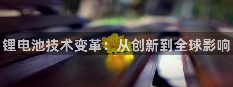 尊龙现金一下S选来就送38：锂电池技术变革：从创新到全球影响