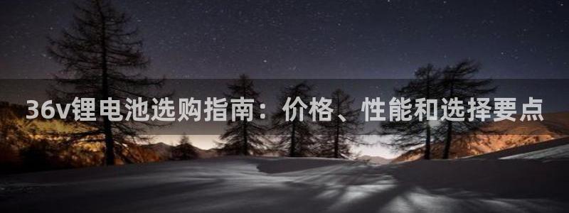 尊龙游戏中心：36v锂电池选购指南：价格、性能和选择要点
