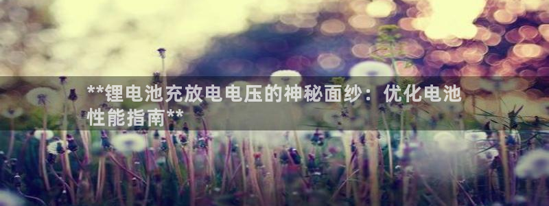 尊龙新版app：**锂电池充放电电压的神秘面纱：优化电池
性能指南**