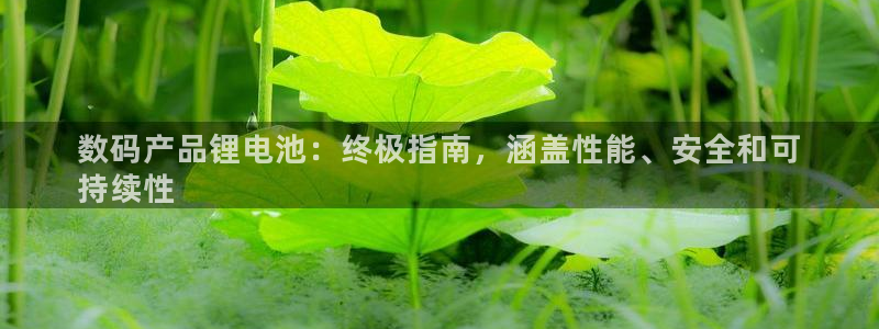 尊龙旗舰厅app：数码产品锂电池：终极指南，涵盖性能、安全和可
持续性