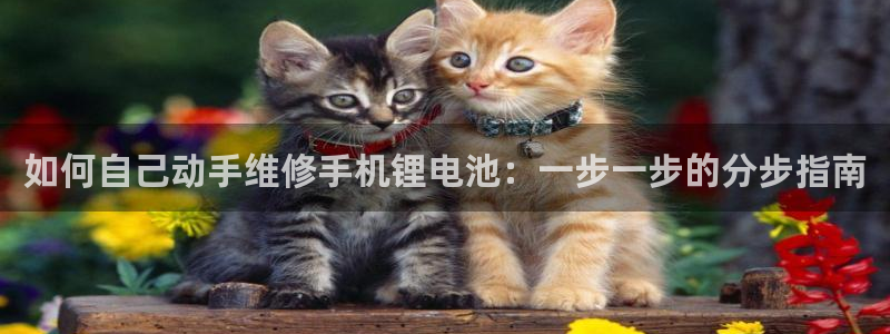 尊龙人生就是博下载：如何自己动手维修手机锂电池：一步一步的分步指南
