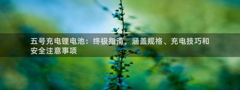 尊龙凯时一人生就是博登入：五号充电锂电池：终极指南，涵盖规格、充电技巧和
安全注意事项