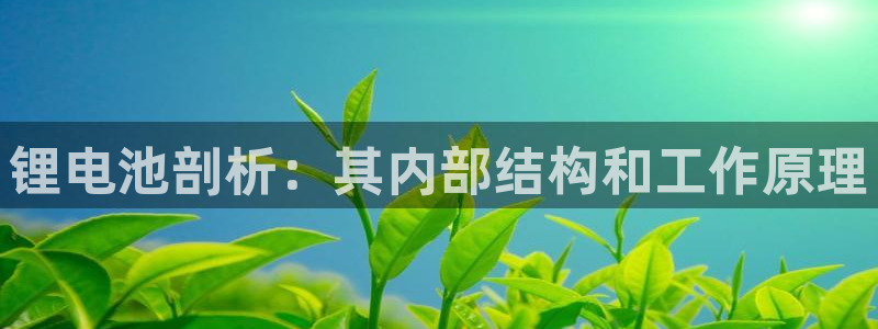 尊龙官方