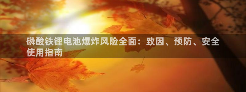尊龙凯时网娱乐官网：磷酸铁锂电池爆炸风险全面：致因、预防、安全
使用指南