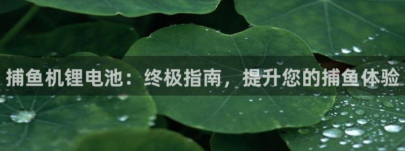 尊龙凯时出款