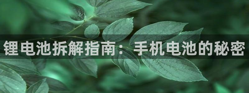 agz6尊龙凯时集团：锂电池拆解指南：手机电池的秘密