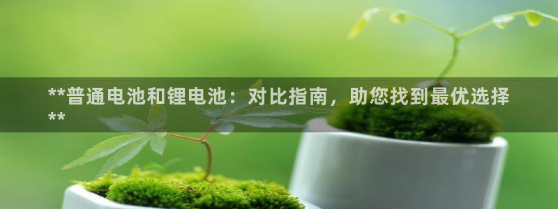 尊龙凯时存款多久到账