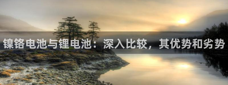 尊龙z6：镍铬电池与锂电池：深入比较，其优势和劣势
