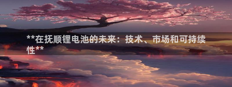 百度一下尊龙：**在抚顺锂电池的未来：技术、市场和可持续
性**