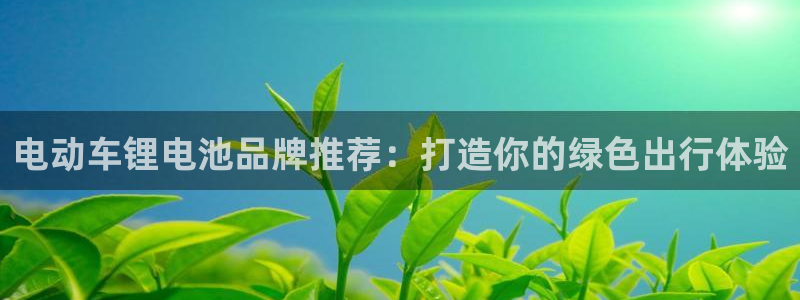 尊龙百度百科：电动车锂电池品牌推荐：打造你的绿色出行体验
