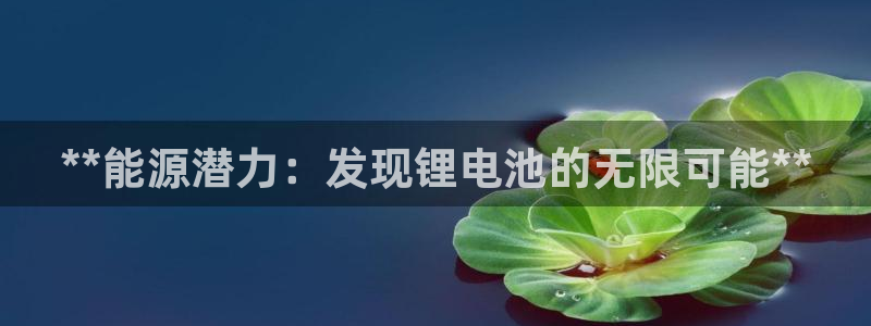 尊龙d88官网选RA来就送38：**能源潜力：发现锂电池的无限可能**