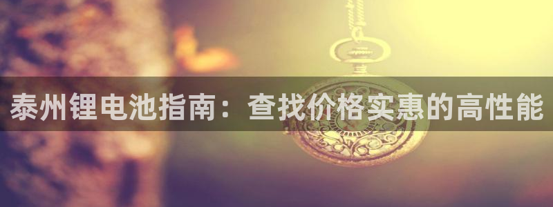 尊龙新版手机app下载：泰州锂电池指南：查找价格实惠的高性能