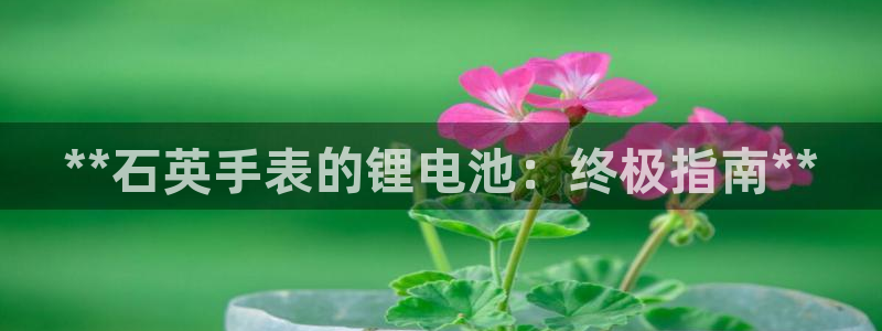 凯时kb88公司简介：**石英手表的锂电池：终极指南**