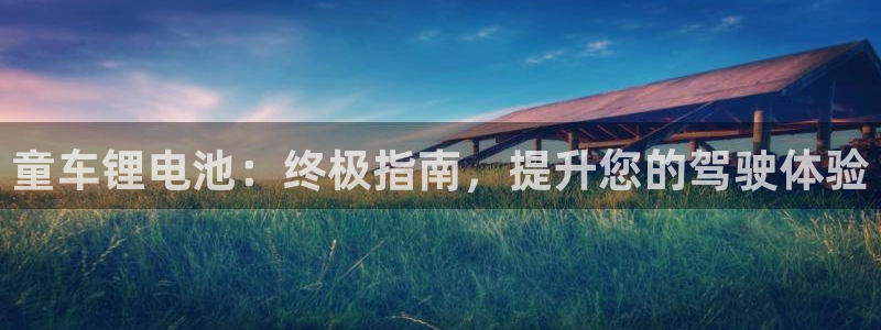 z6com尊龙凯时百家乐下载：童车锂电池：终极指南，提升您的驾驶体验