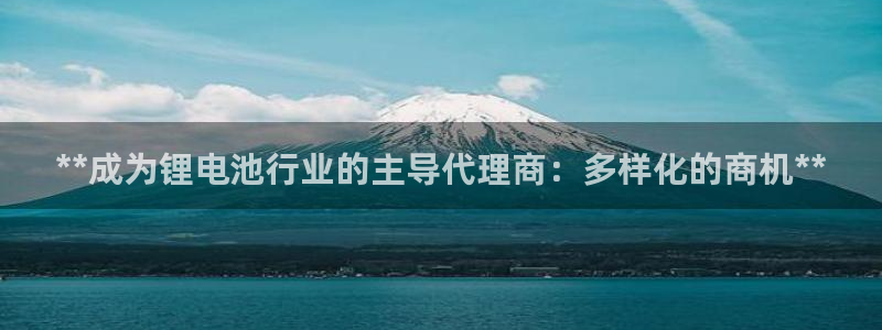 尊龙凯时俱乐部：**成为锂电池行业的主导代理商：多样化的商机**