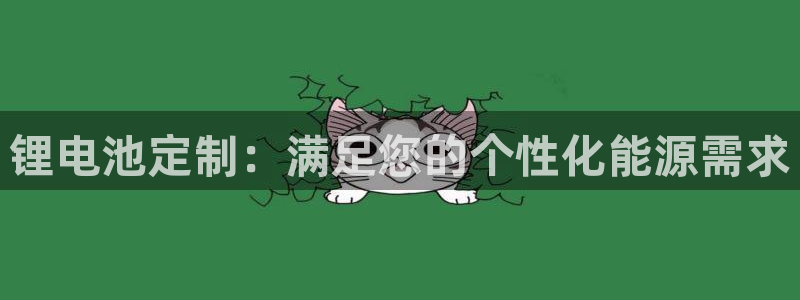尊龙2016：锂电池定制：满足您的个性化能源需求