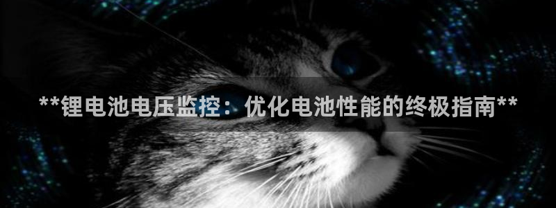尊龙凯时产品系列：**锂电池电压监控：优化电池性能的终极指南**