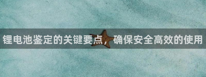 尊龙凯时 - 人生就是搏有假吗：锂电池鉴定的关键要点，确保安全高效的使用