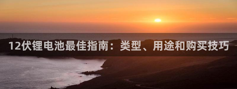 尊龙新版人生就是博!：12伏锂电池最佳指南：类型、用途和购买技巧