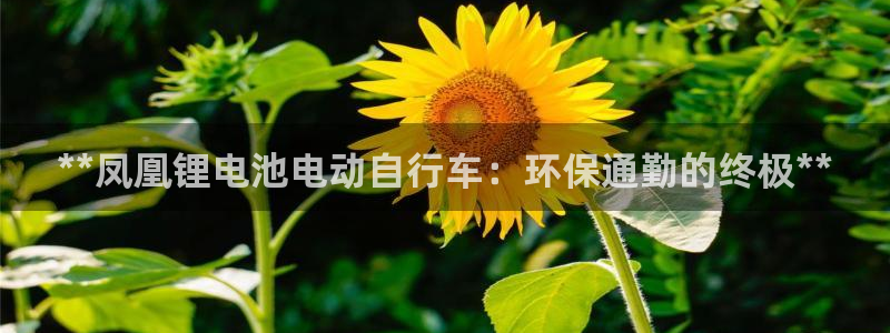 尊龙官网/首选kpm：**凤凰锂电池电动自行车：环保通勤的终极**