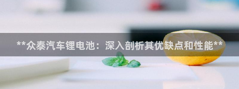 尊龙内地：**众泰汽车锂电池：深入剖析其优缺点和性能**