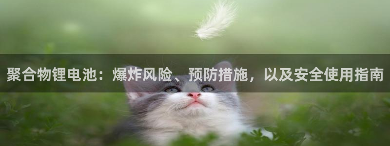 尊龙官方app下载：聚合物锂电池：爆炸风险、预防措施，以及安全使用指南