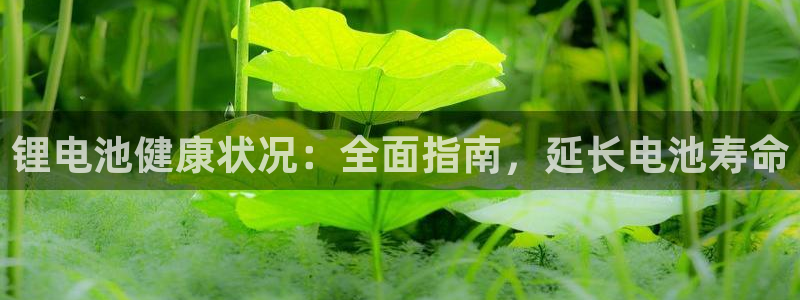 尊龙 5：锂电池健康状况：全面指南，延长电池寿命