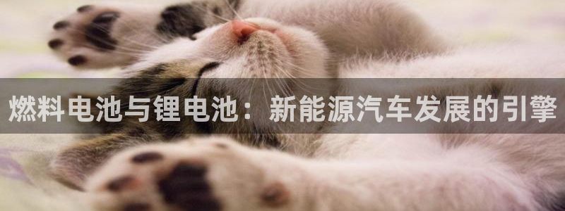 尊龙凯时取款24小时不到账：燃料电池与锂电池：新能源汽车发展的引擎