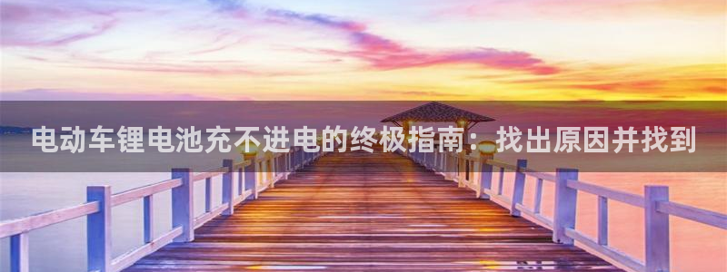 ag尊龙凯时集团：电动车锂电池充不进电的终极指南：找出原因并找到
