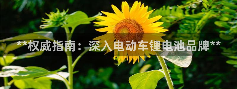 尊龙凯时登陆入口：**权威指南：深入电动