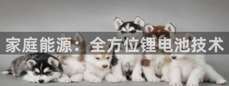 凯时游戏官方网站：家庭能源：全方位锂电池技术