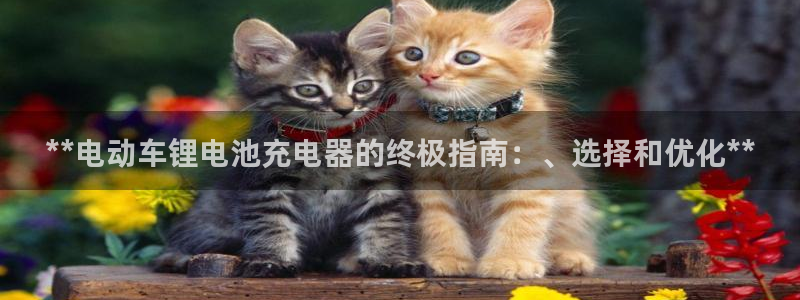 尊龙凯时官网网址：**电动车锂电池充电器