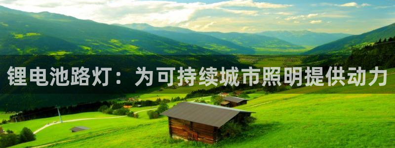 尊龙网址苹果版下载：锂电池路灯：为可持续城市照明提供动力