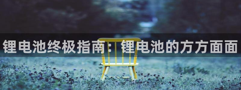 尊龙-人生就是博!：锂电池终极指南：锂电池的方方面面