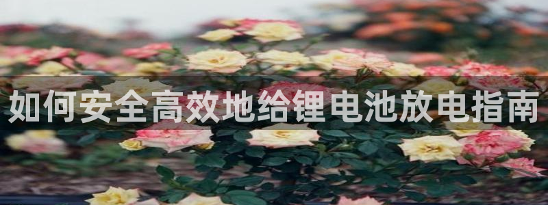 下载尊龙app