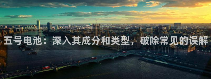 尊龙官方网站