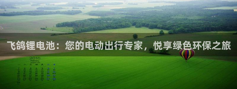 尊龙凯时人生就是搏!平台：飞鸽锂电池：您的电动出行专家，悦享绿色环保之旅
