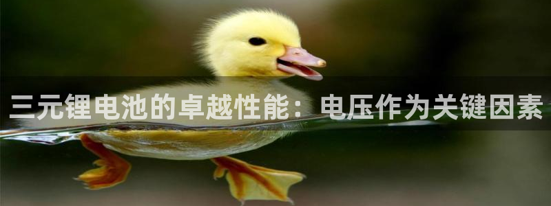 凯时尊龙平台登录