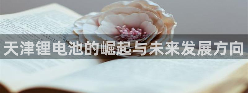 凯时APP官网首页