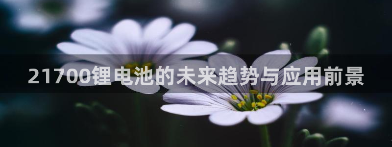 尊龙凯时账号异常审核提不了款怎么办