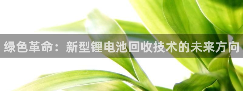 尊龙凯时法拉币