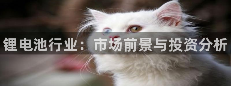 尊龙人生就是博现金