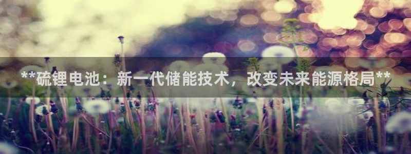 尊龙官网入口：**硫锂电池：新一代储能技术，改变未来能源格局**