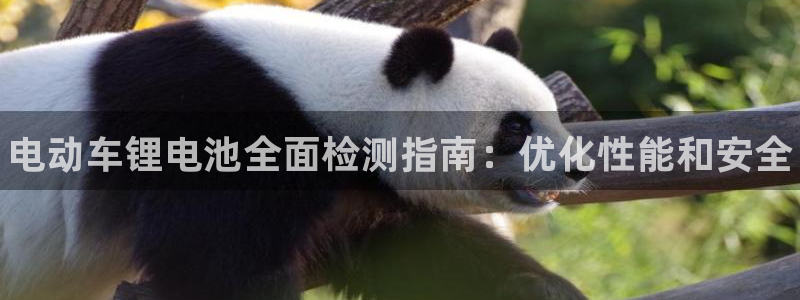 尊龙ag旗舰官网：电动车锂电池全面检测指