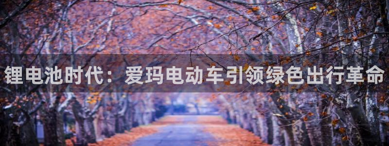 尊龙d88手机app免费下载：锂电池时代