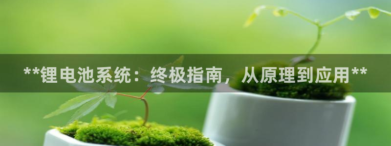 尊龙新版登录网址下载：**锂电池系统：终极指南，从原理到应用**